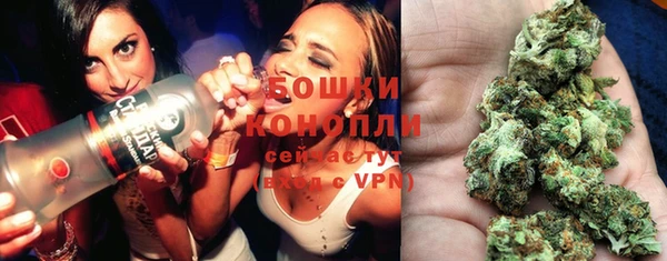 соль ск Бородино