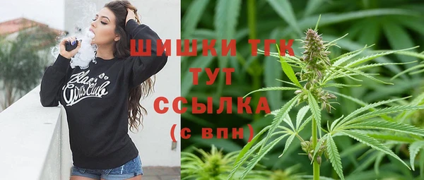 соль ск Бородино