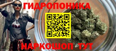 бошки Гусь-Хрустальный