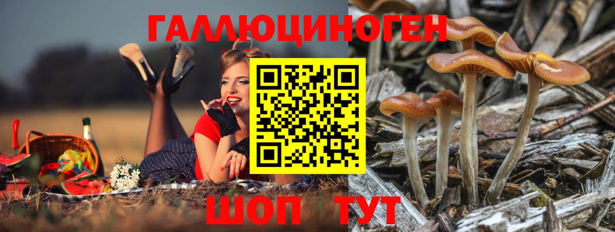 Северск  Псилоцибиновые грибы мицелий  Вход с VPN  Псилоцибиновые грибы прущие грибы 