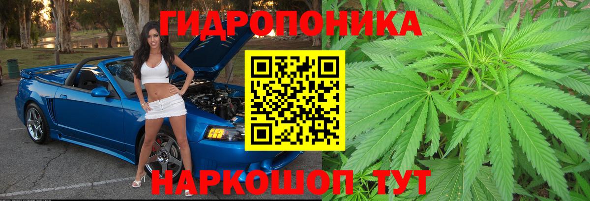 Северск  Марихуана ГИДРОПОН  Вход с VPN  Бошки Шишки тримм  Бошки марихуана сатива 