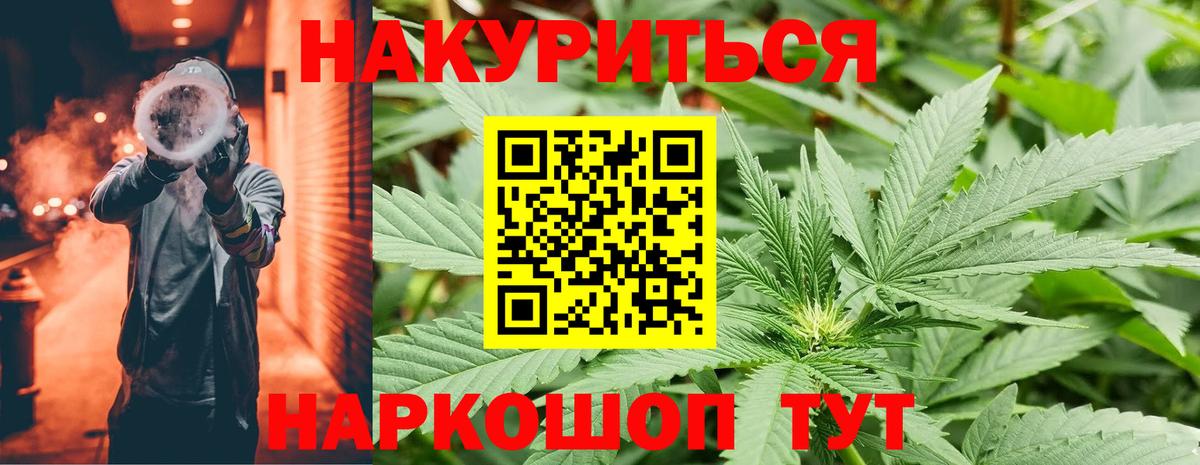 Бошки Шишки Северск